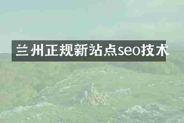 兰州正规新站点seo技术