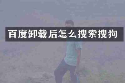 百度卸载后怎么搜索搜狗