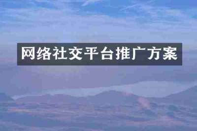 网络社交平台推广方案