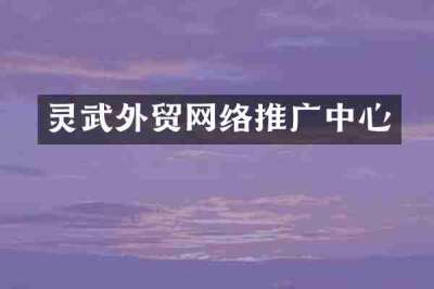 灵武外贸网络推广中心