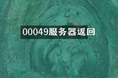 00049服务器返回