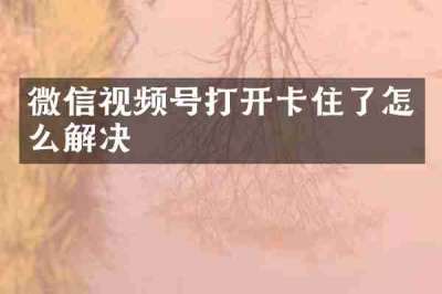 微信视频号打开卡住了怎么解决
