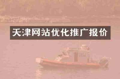 天津网站优化推广报价