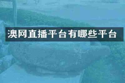 澳网直播平台有哪些平台