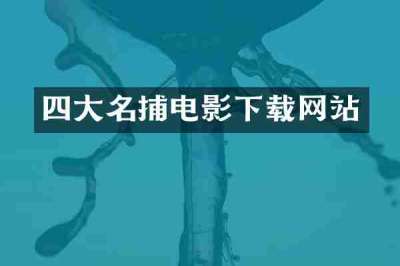 四大名捕电影下载网站