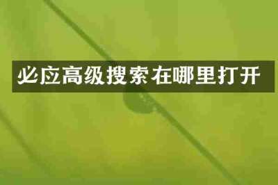 必应高级搜索在哪里打开