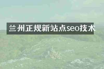 兰州正规新站点seo技术
