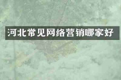 河北常见网络营销哪家好