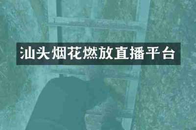 汕头烟花燃放直播平台