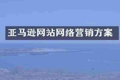 亚马逊网站网络营销方案