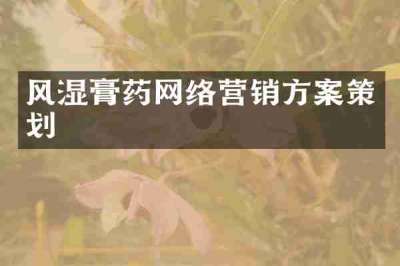 风湿膏药网络营销方案策划