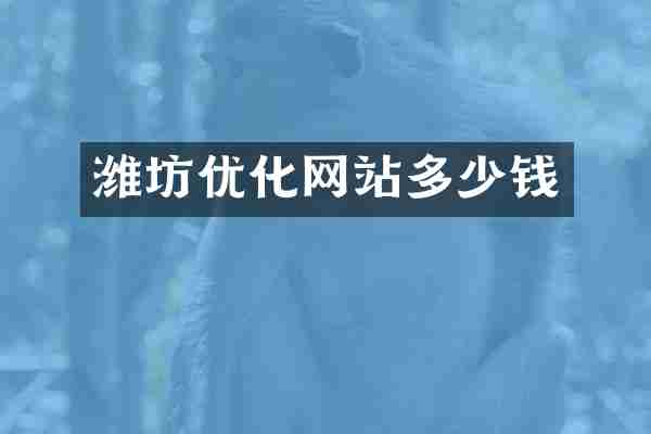 潍坊优化网站多少钱
