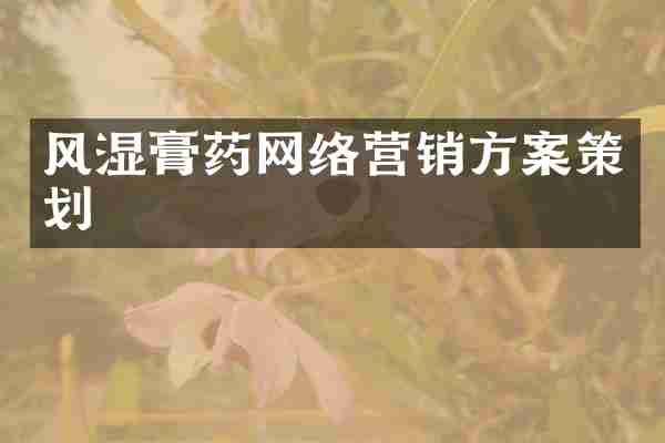 风湿膏药网络营销方案策划