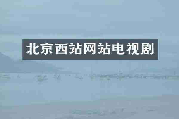 北京西站网站电视剧