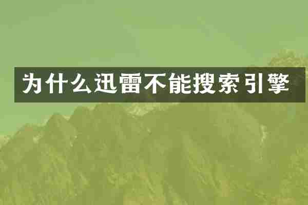为什么迅雷不能搜索引擎