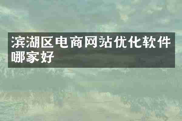 滨湖区电商网站优化软件哪家好