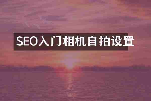 SEO入门相机设置