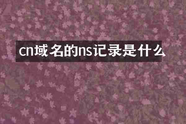 cn域名的ns记录是什么