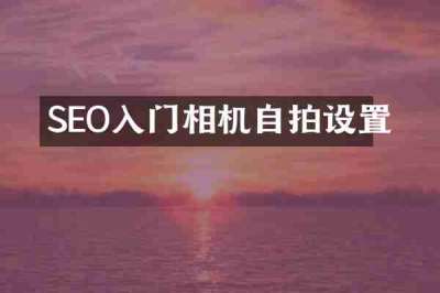 SEO入门相机自拍设置