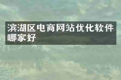 滨湖区电商网站优化软件哪家好