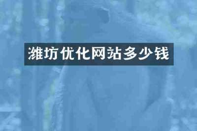 潍坊优化网站多少钱