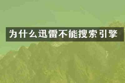 为什么迅雷不能搜索引擎
