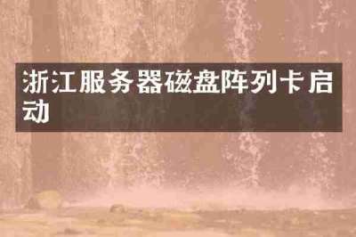 浙江服务器磁盘阵列卡启动