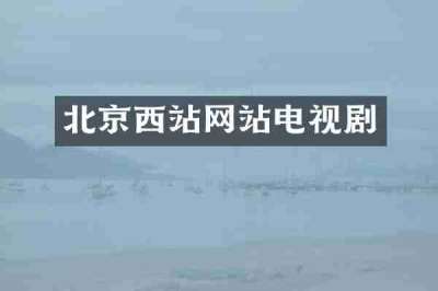 北京西站网站电视剧