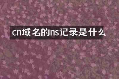 cn域名的ns记录是什么