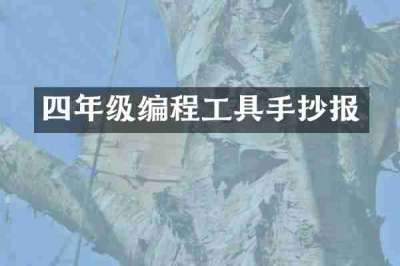 四年级编程工具手抄报
