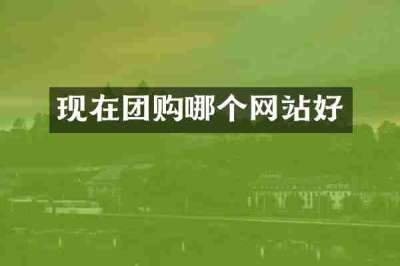 现在团购哪个网站好