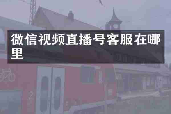微信视频直播号客服在哪里
