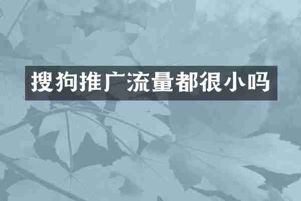 搜狗推广流量都很小吗