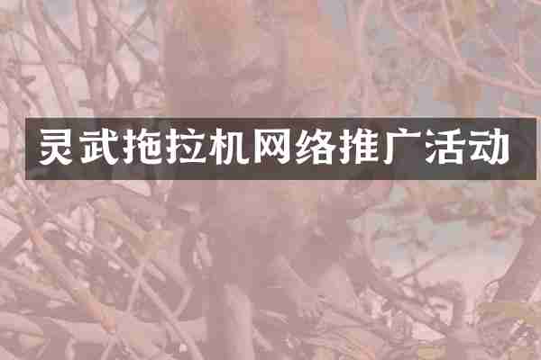 灵武拖拉机网络推广活动