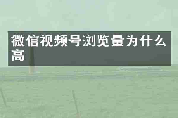微信视频号浏览量为什么高