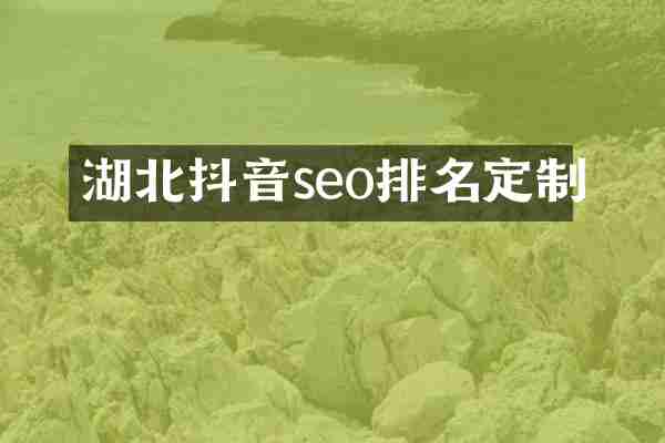 湖北抖音seo排名定制