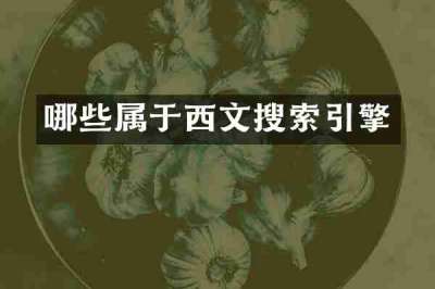 哪些属于西文搜索引擎