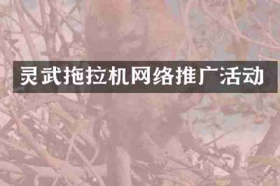 灵武拖拉机网络推广活动