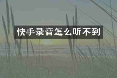 快手录音怎么听不到
