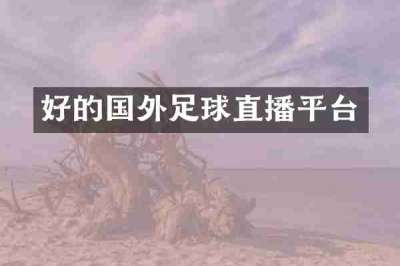 好的国外足球直播平台