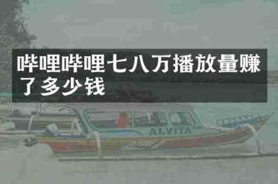 哔哩哔哩七八万播放量赚了多少钱