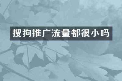 搜狗推广流量都很小吗
