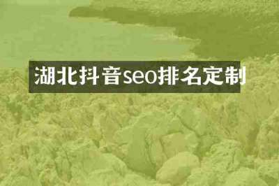 湖北抖音seo排名定制