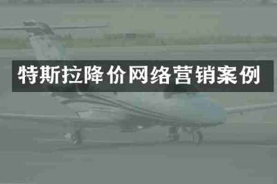 特斯拉降价网络营销案例