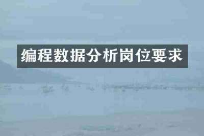 编程数据分析岗位要求