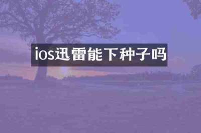 ios迅雷能下种子吗