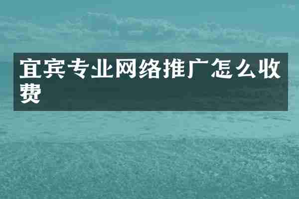 宜宾专业网络推广怎么收费