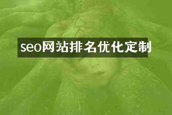 seo网站排名优化定制