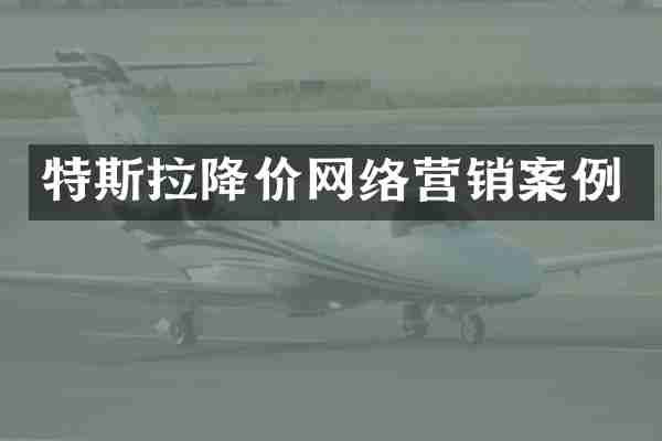 特斯拉降价网络营销案例
