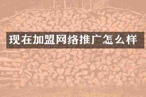 现在加盟网络推广怎么样